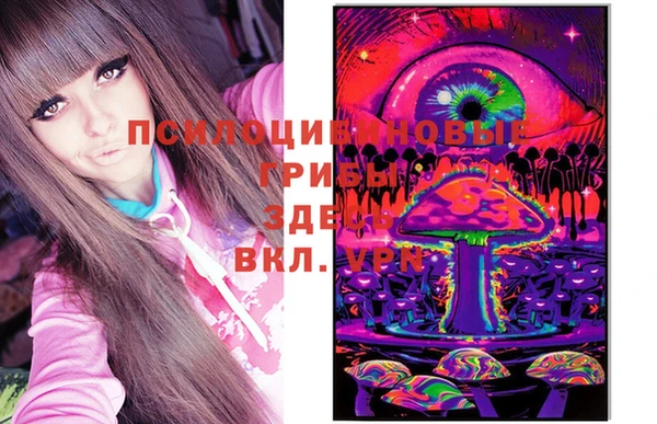 ПСИЛОЦИБИНОВЫЕ ГРИБЫ Баксан