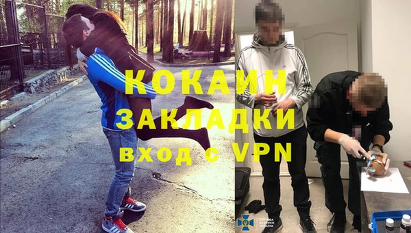 ПСИЛОЦИБИНОВЫЕ ГРИБЫ Баксан