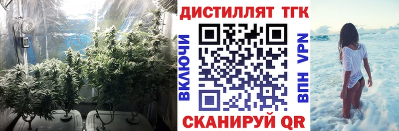 Дистиллят ТГК гашишное масло Высоковск