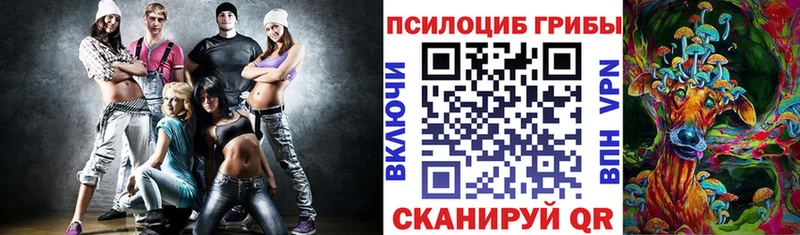 купить наркотик Высоковск Псилоцибиновые грибы мухоморы